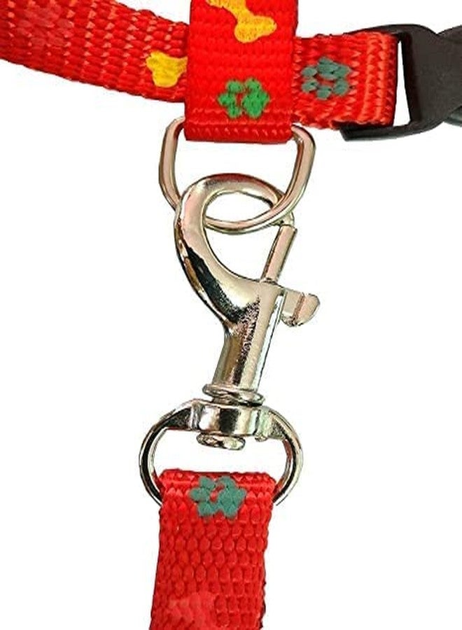 KittuPet طوق قطط KittuPet مع ربطة عنق وجرس، قطعة واحدة، طقم حزام ومقود من النايلون بنقشة مخلب وعظمة، قابل للتعديل 10 مم، مناسب للجراء والقطط الصغيرة أو بعض أنواع الجراء، عبوة من قطعتين (قد يختلف اللون) - Image 2